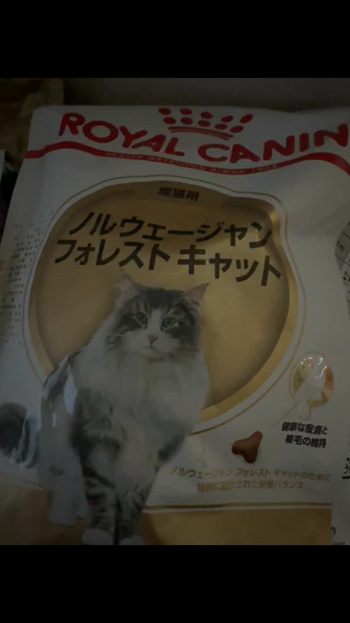ロイヤルカナン ノルウェージャンフォレストキャット 2kg (猫 ロイヤルカナン ノルウェージャンフォレストキャット 2kg (猫