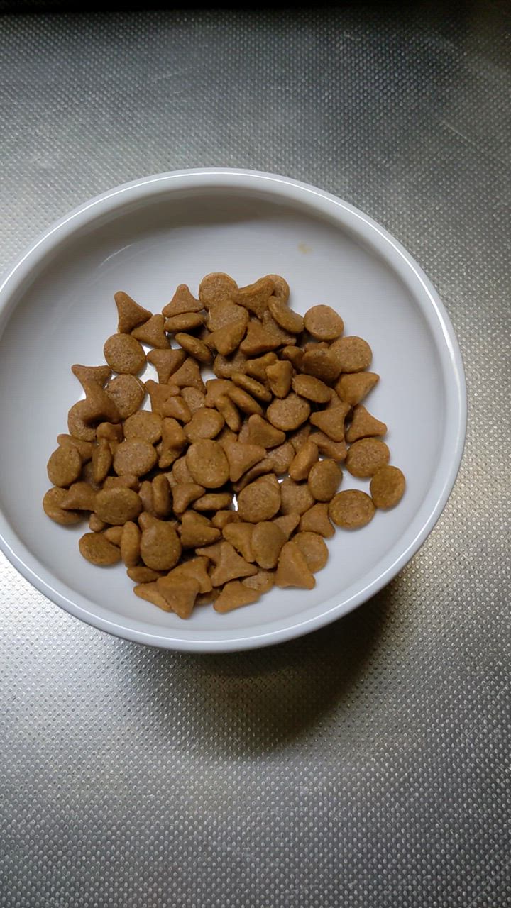 全体のレビュー動画のサムネイル | 2