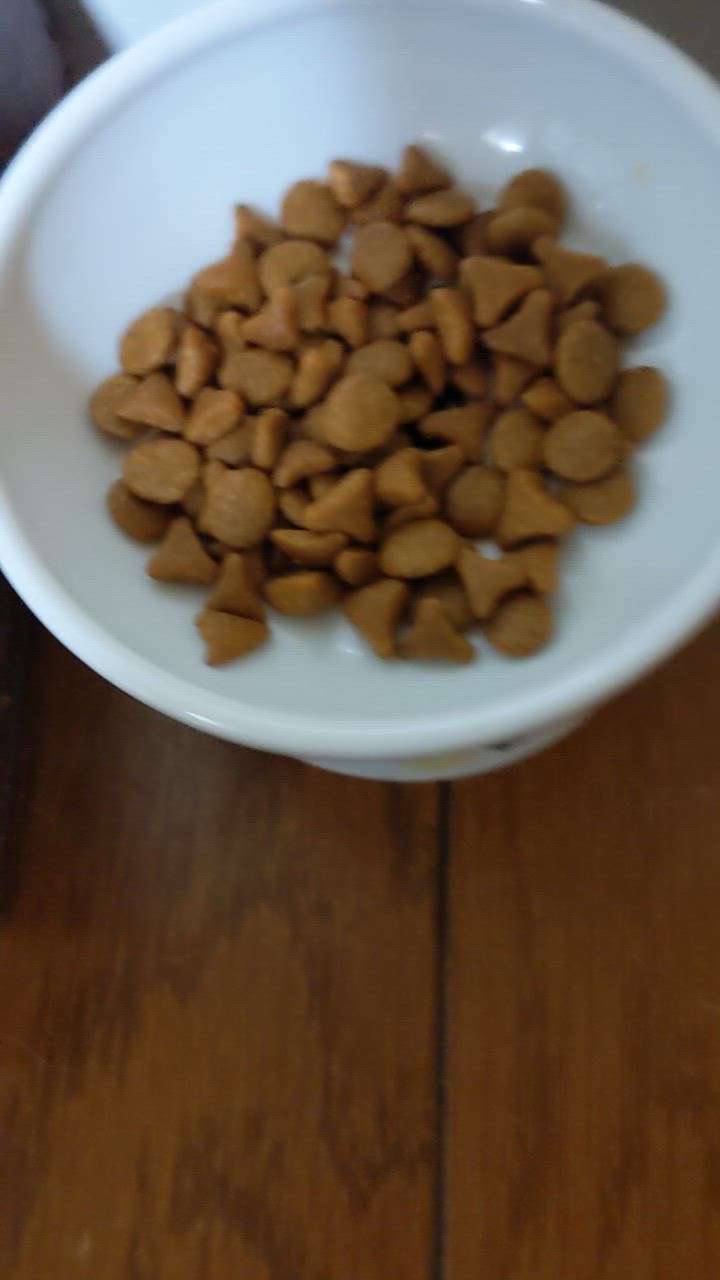 全体のレビュー動画のサムネイル | 1