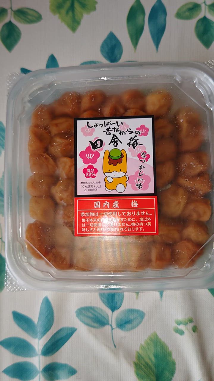 梅干しくん しょっぱ〜い！昔ながらの梅干（白） 500g : ぐんまの梅屋