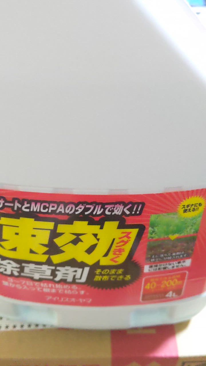 全体のレビュー動画のサムネイル | 6