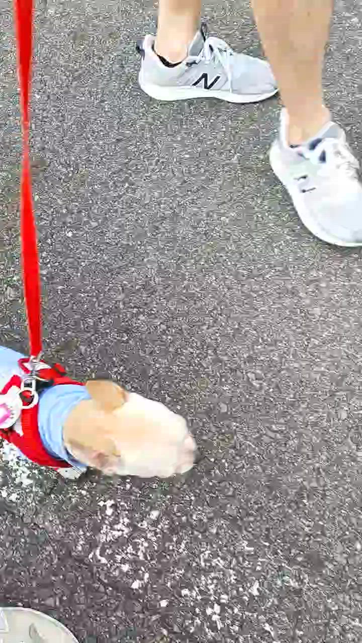 全体のレビュー動画のサムネイル | 8