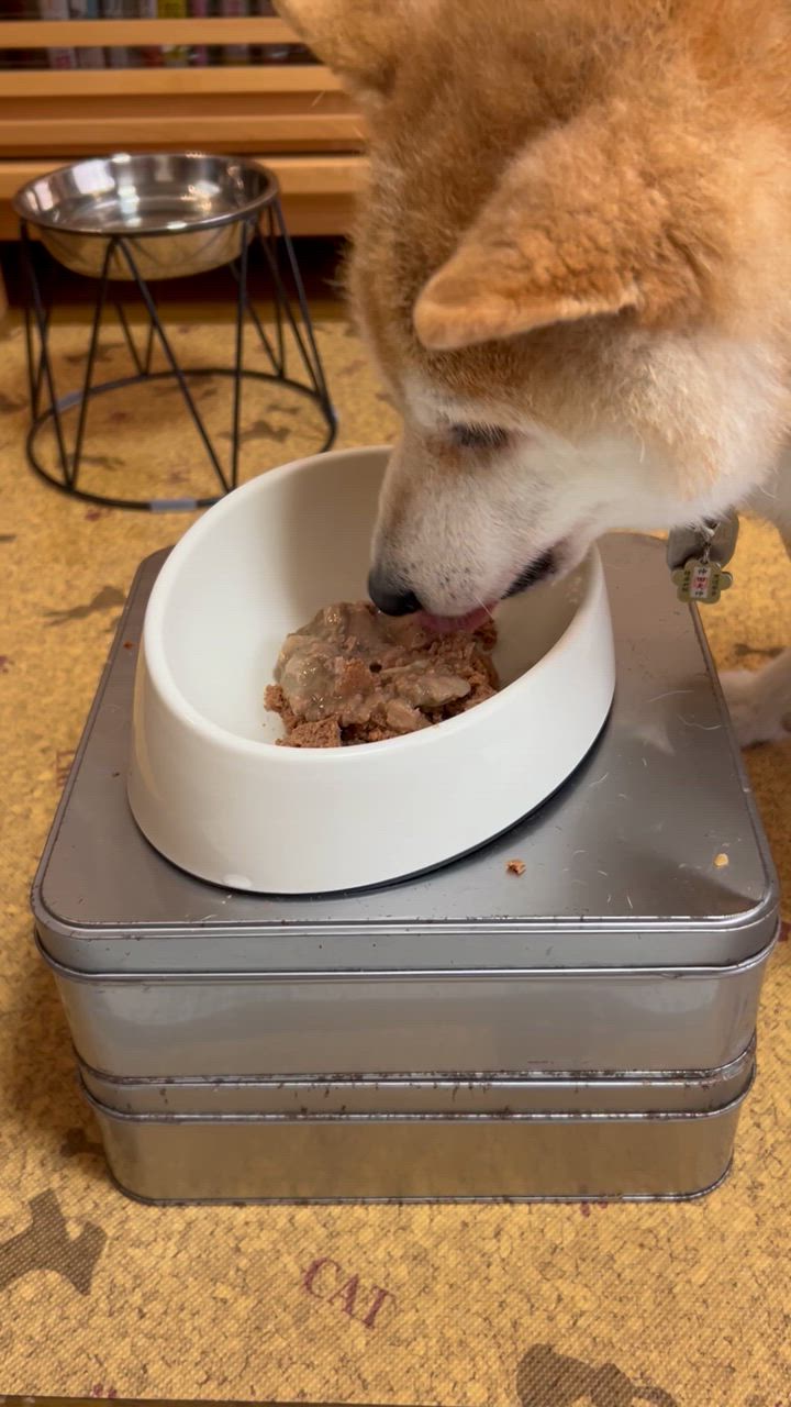 ヒルズ 【10％OFFクーポン】ヒルズ 犬用 i/d 消化ケア チキン