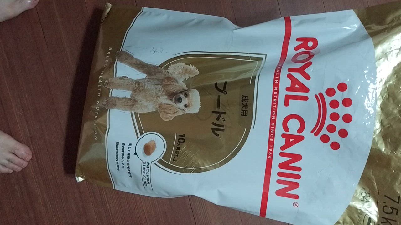 全体のレビュー動画のサムネイル | 3