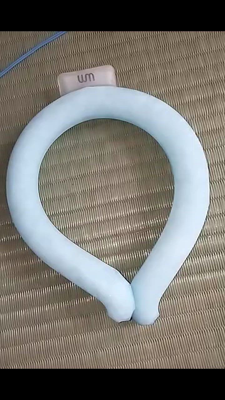 全体のレビュー動画のサムネイル | 15