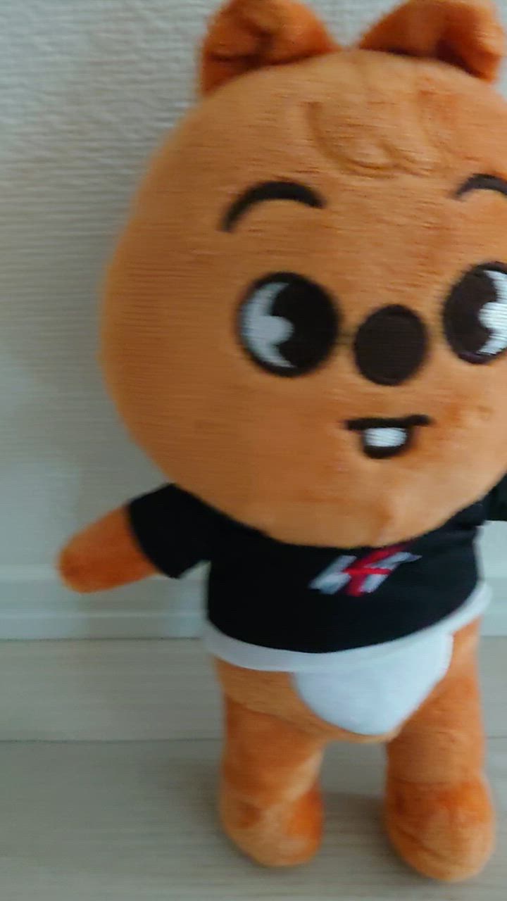 Skzooぬいぐるみ ストレイキッズ ぬいぐるみ クラシックソニック