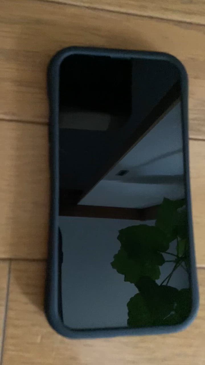 全体のレビュー動画のサムネイル | 0