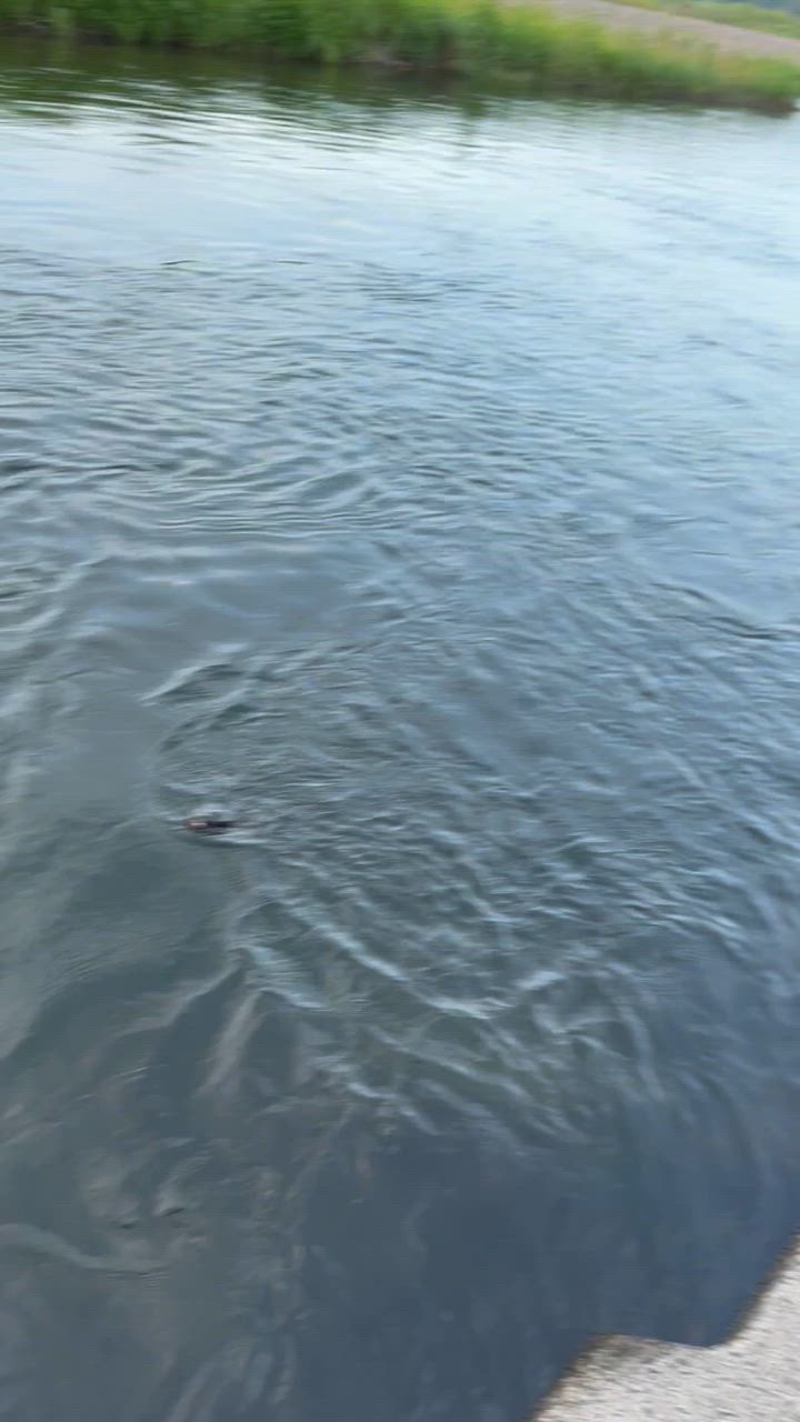 1件目のレビュー動画のサムネイル | 0