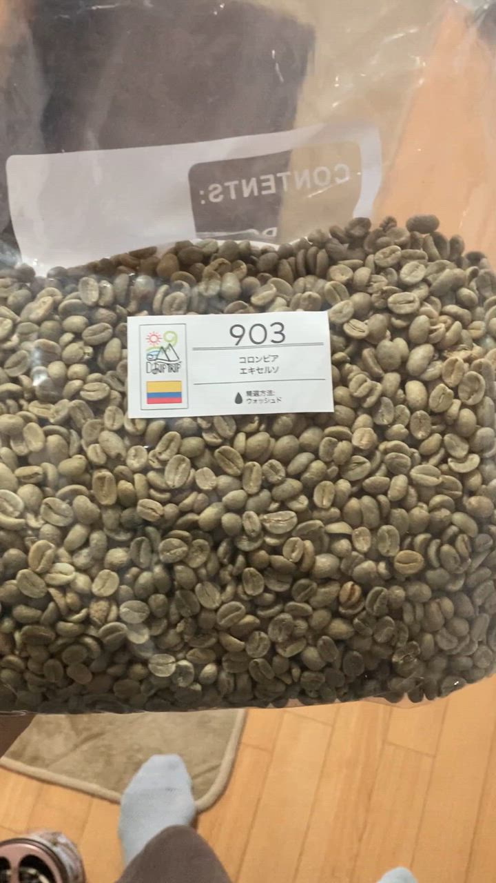 生豆 コーヒー 送料無料 大山珈琲 コロンビア エキセルソ Q