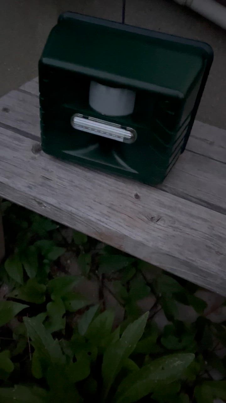 全体のレビュー動画のサムネイル | 0