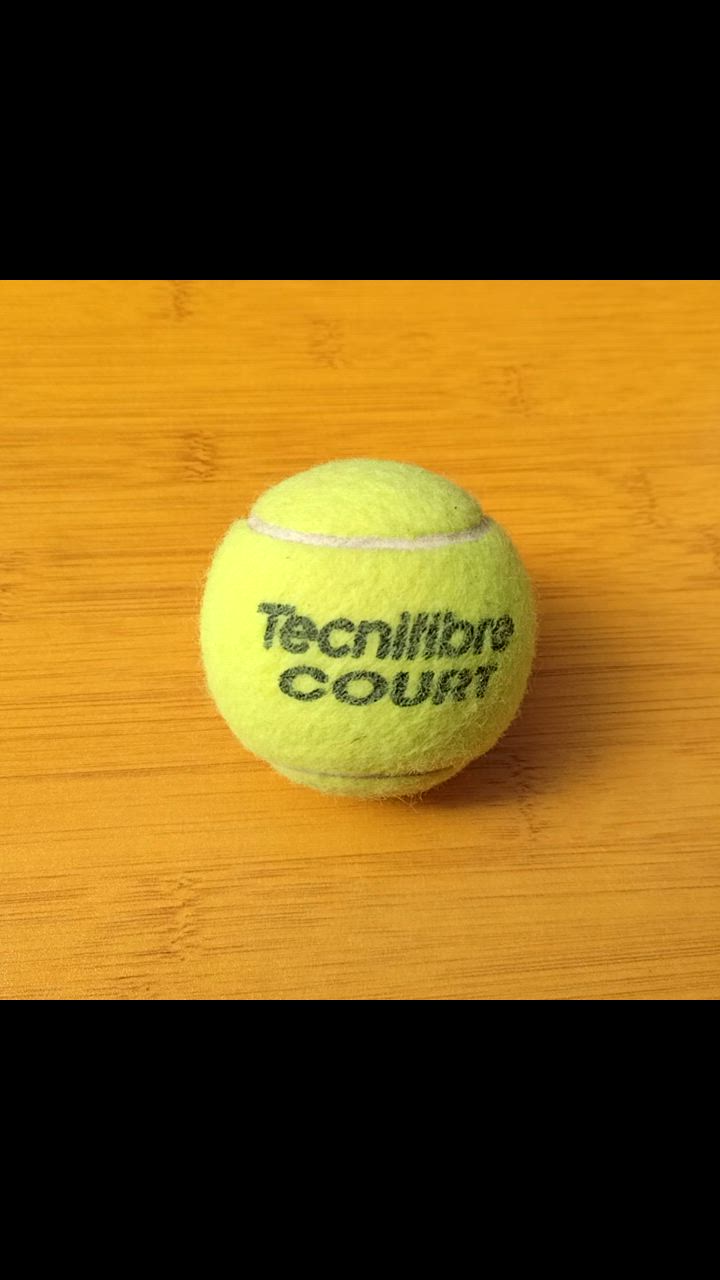 Tecnifibre 『即日出荷』テクニファイバー テニスボール COURT