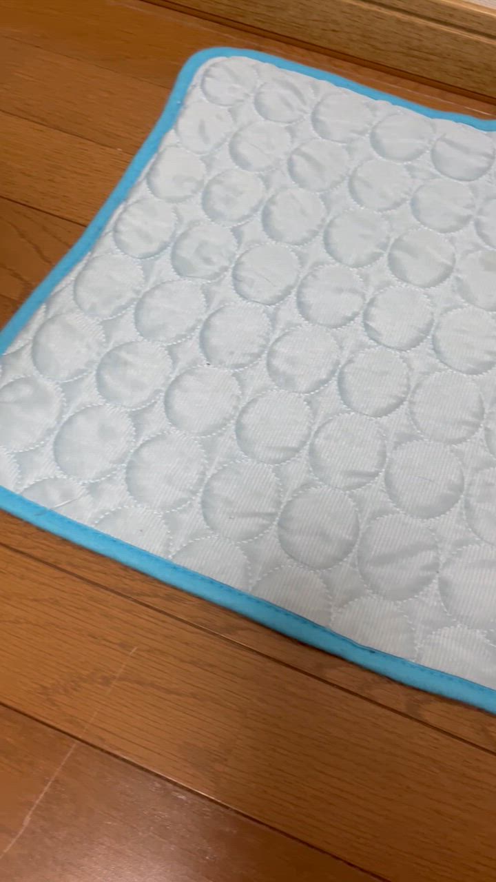 全体のレビュー動画のサムネイル | 5