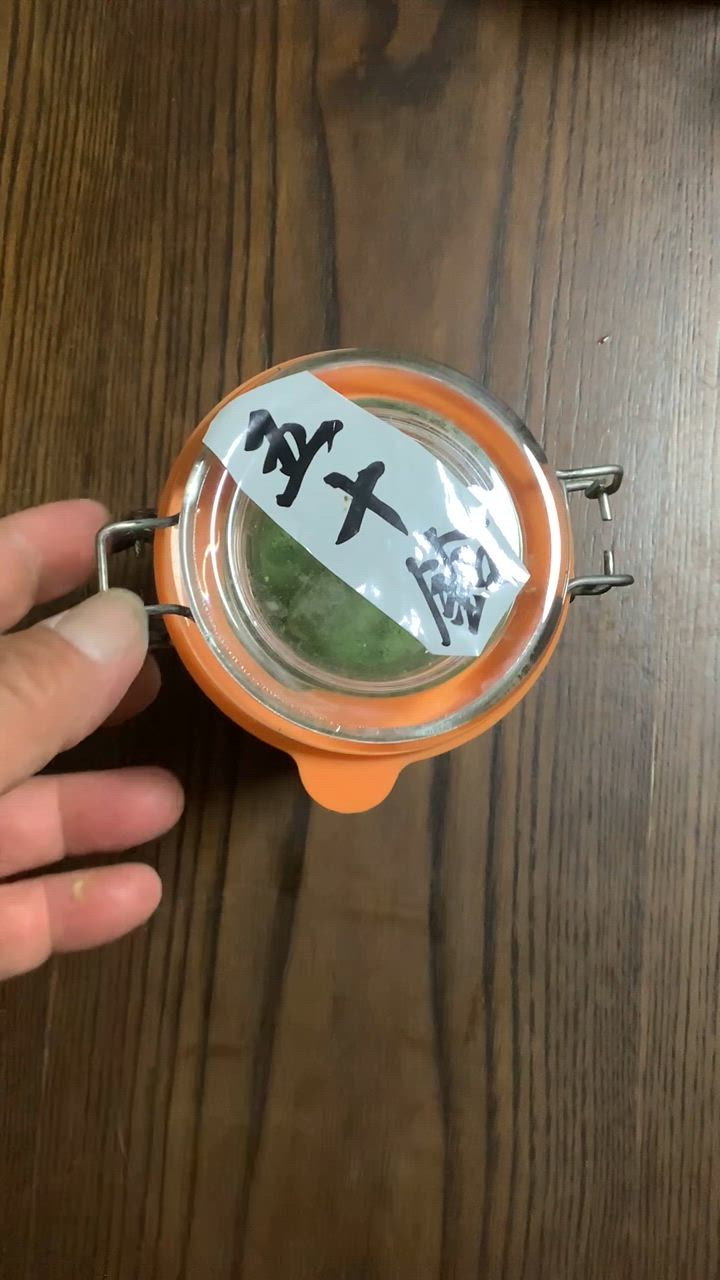 清水楽山 作　小堀遠州 花押 印銘　小服　唐津茶碗　無傷　箱無。 清水楽山 作 小堀遠州 花押 印銘 小服 唐津茶碗 無傷 箱無。 Yahoo!