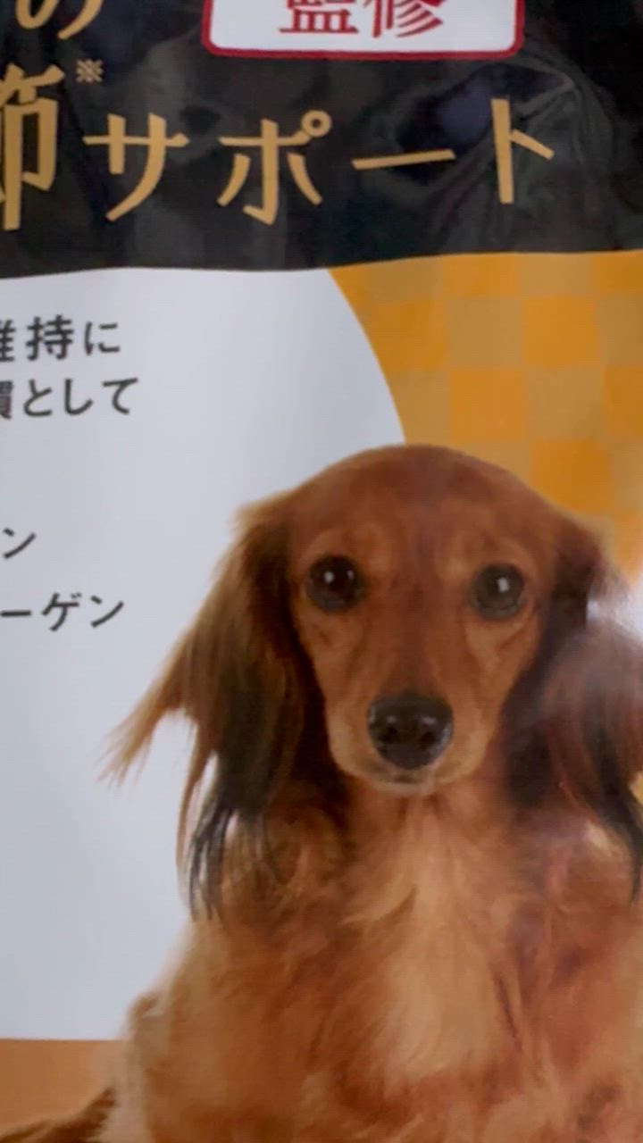 全体のレビュー動画のサムネイル | 15