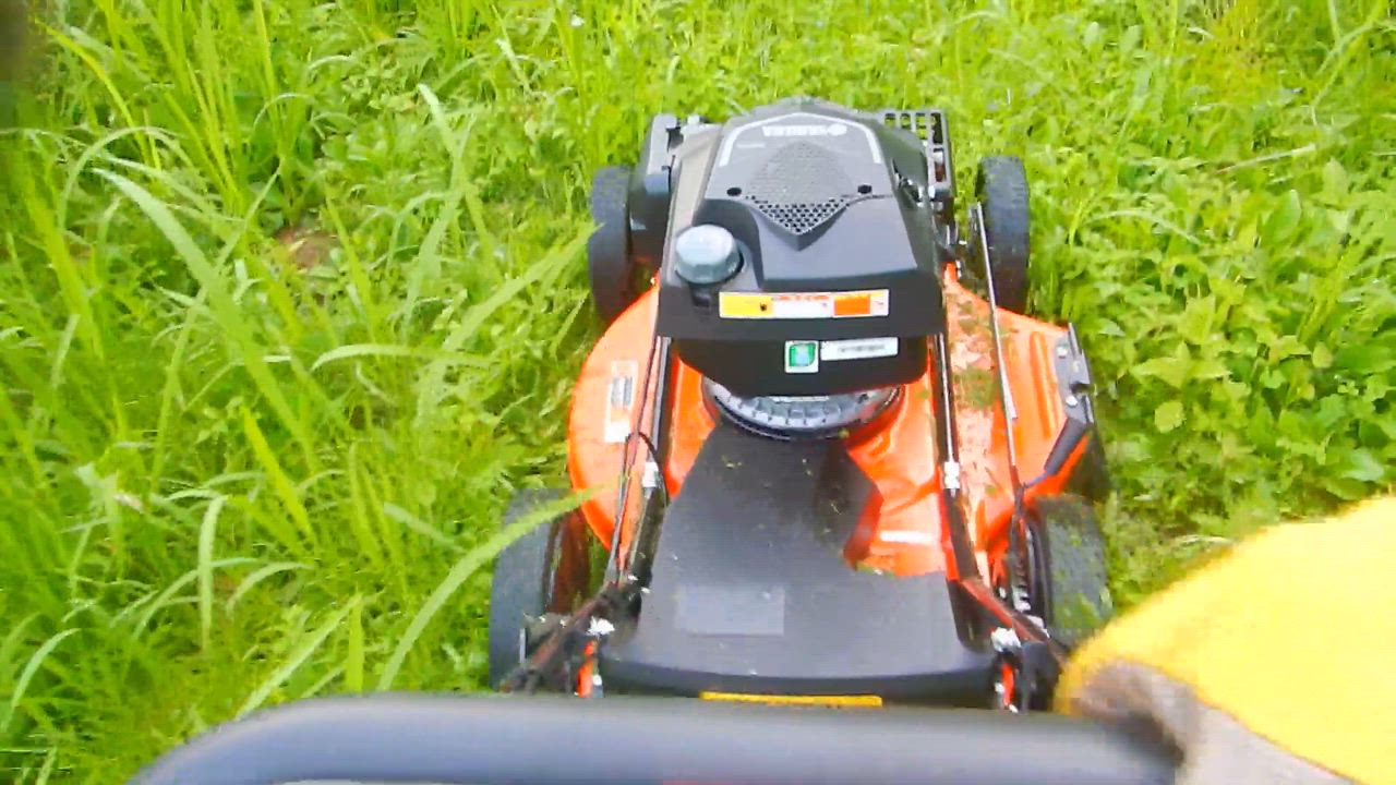 全体のレビュー動画のサムネイル | 9