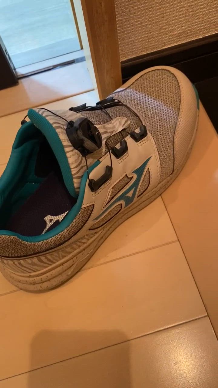 MIZUNO 安全靴 ミズノ mizunoオールマイティ F1GA2202 LSII 52 L