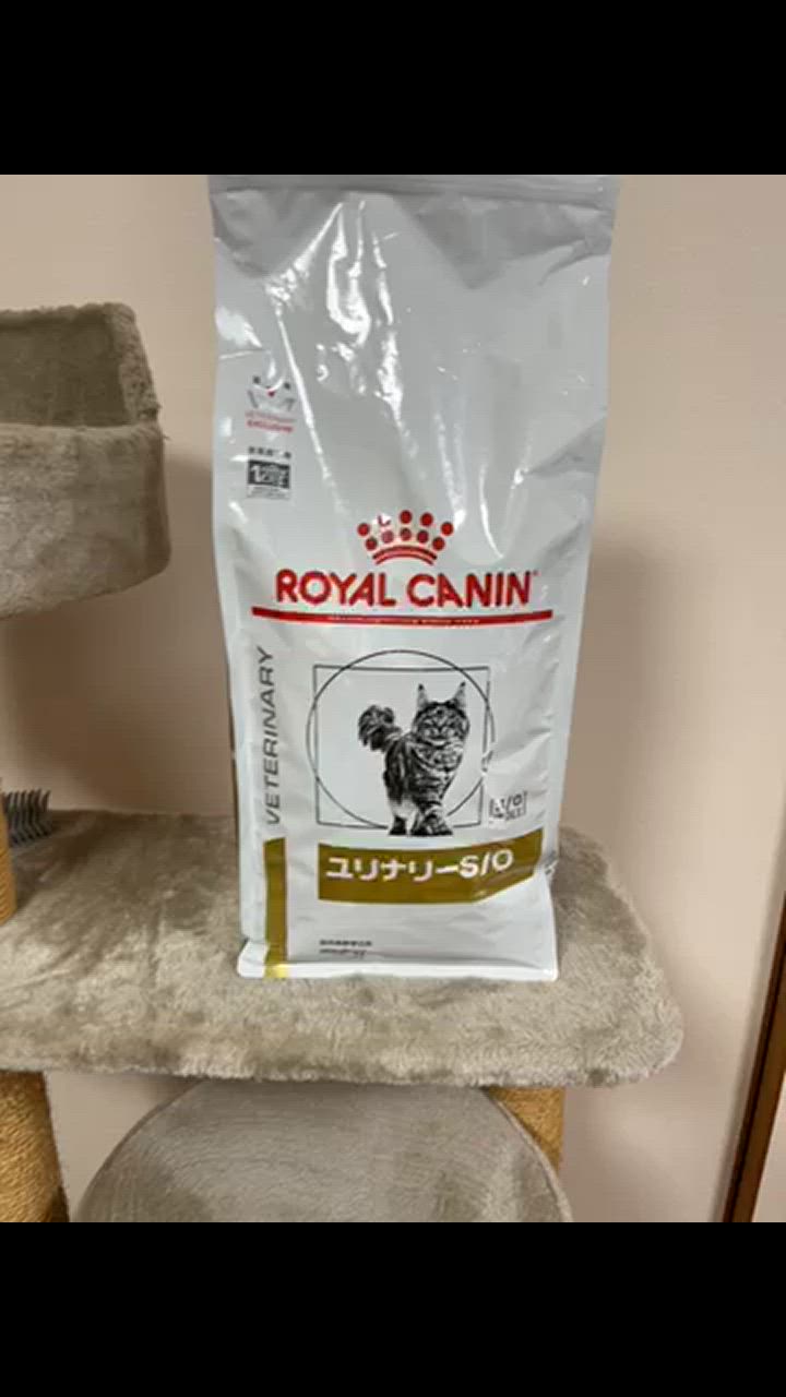 ロイヤルカナン 食事療法食 猫用 ユリナリーS/O ドライ 2kg (旧 pHコントロール0 (ゼロ)) : 3182550901352 :  ペットゴー 3号館 ヤフー店 - 通販 - Yahoo!ショッピング