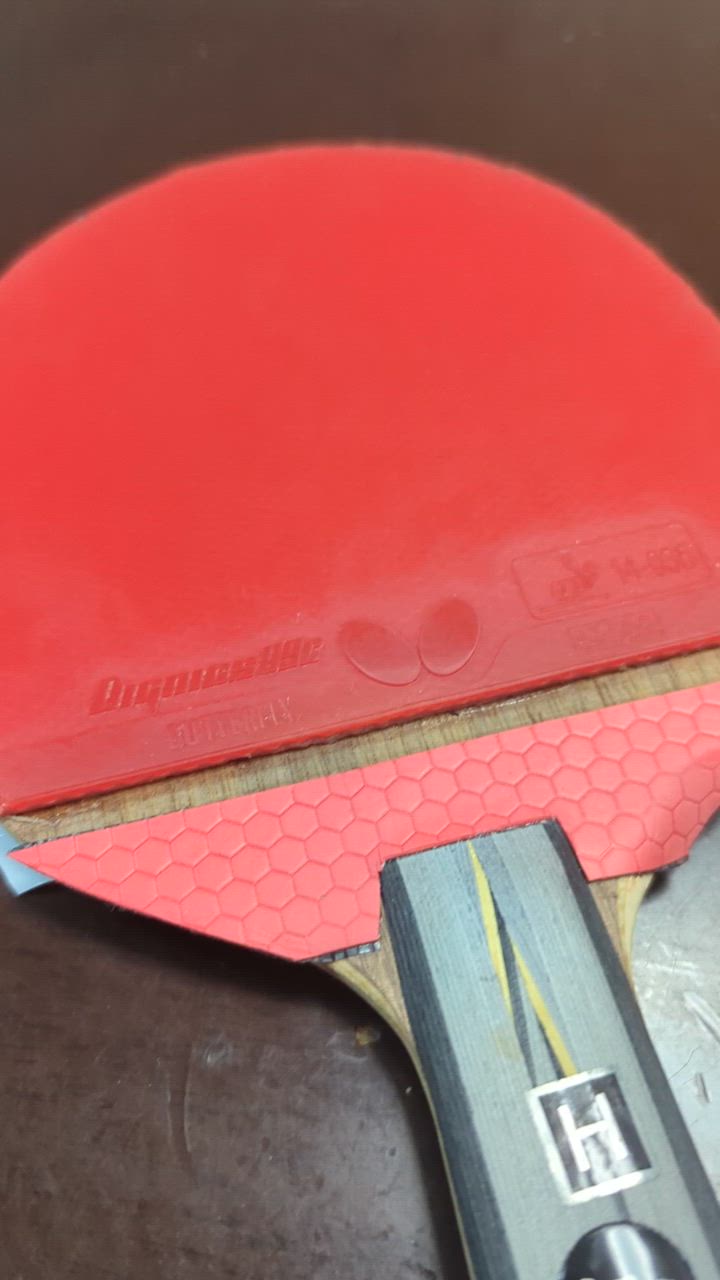 BUTTERFLY - ディグニクス09C　とみおかさま ディグニクス09C｜製品情報｜バタフライ卓球用品