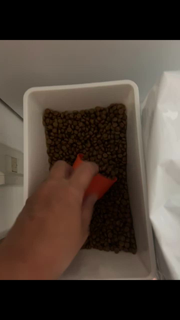 ドッグフード 国産 小粒 10kg お得 小型犬 ゼット プレミアム
