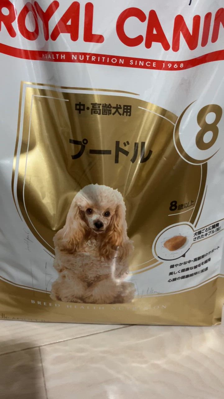 ロイヤルカナン プードル 中・高齢犬用 3kg (犬・ドッグ) [正規品] ドッグフード シニア 犬 ドライフード : 77450127 :  スイートペットYahoo!店 - 通販 - Yahoo!ショッピング