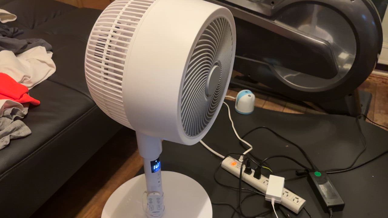 全体のレビュー動画のサムネイル | 5