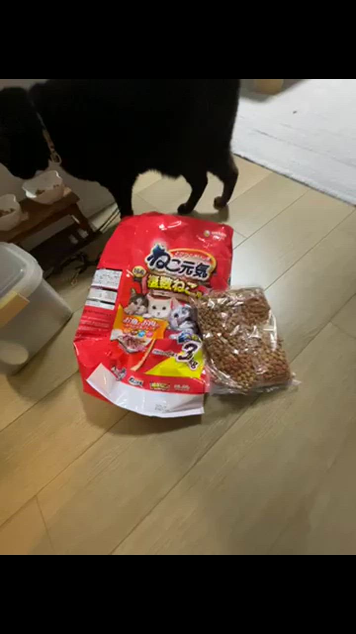(仮)食品詰め合わせ　ドラ猫 オールウェル(AllWell) キャットフード 15歳以上用 フィッシュ味