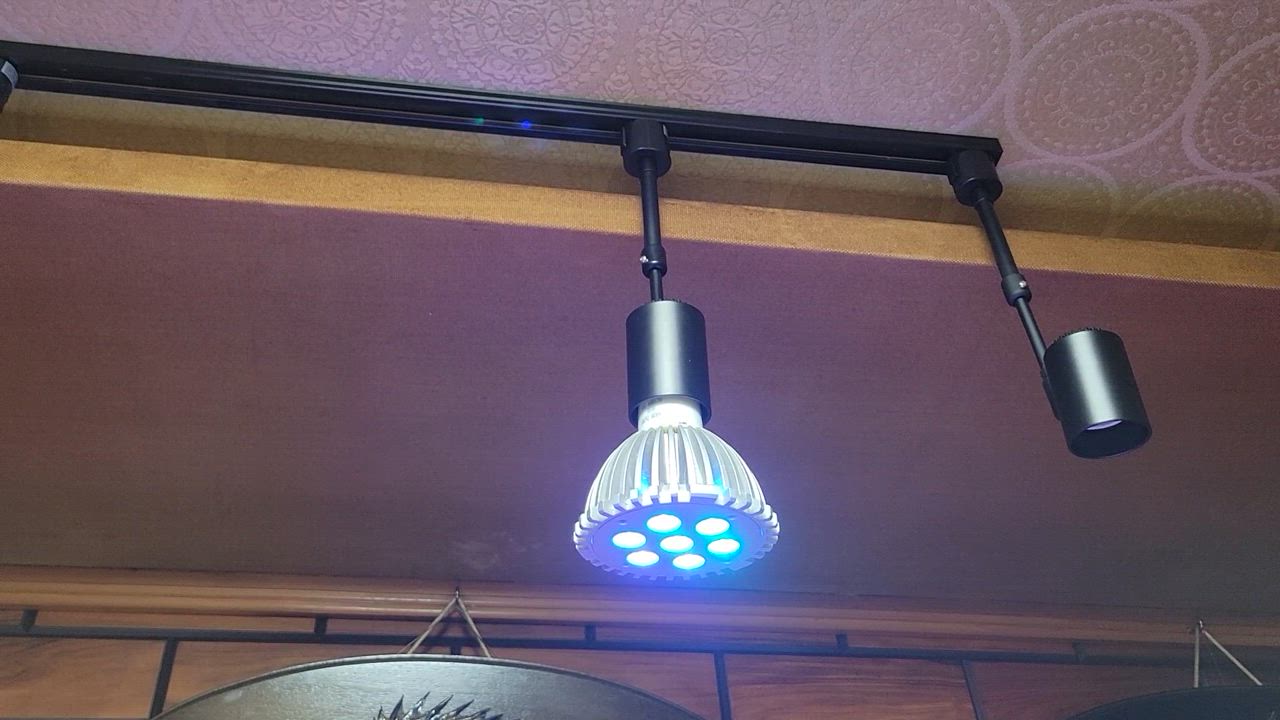 全体のレビュー動画のサムネイル | 0