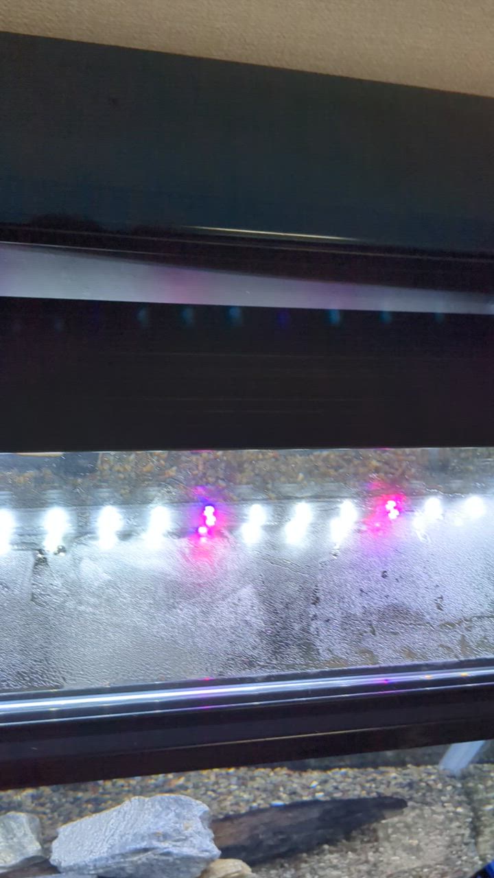 全体のレビュー動画のサムネイル | 5