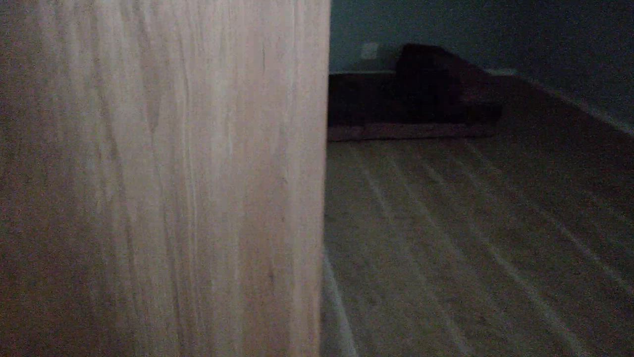 全体のレビュー動画のサムネイル | 1