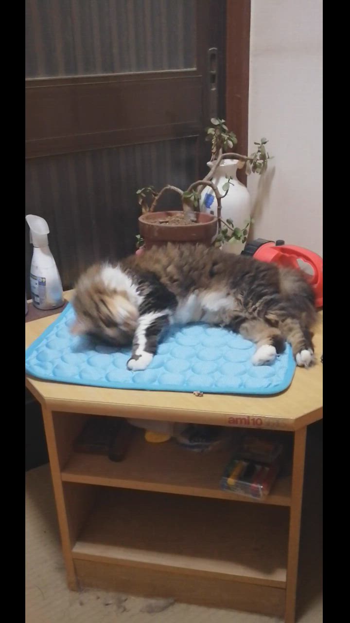 全体のレビュー動画のサムネイル | 4