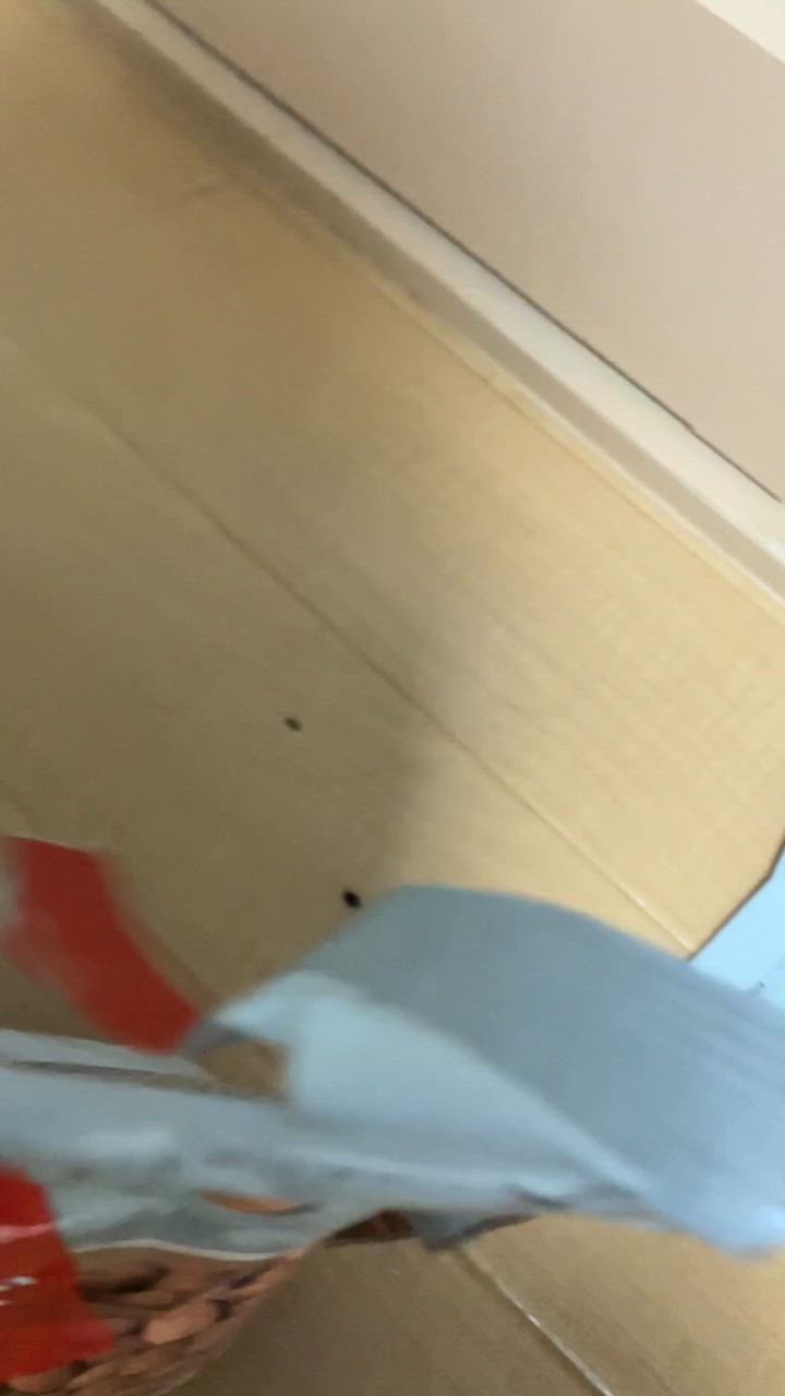 全体のレビュー動画のサムネイル | 2