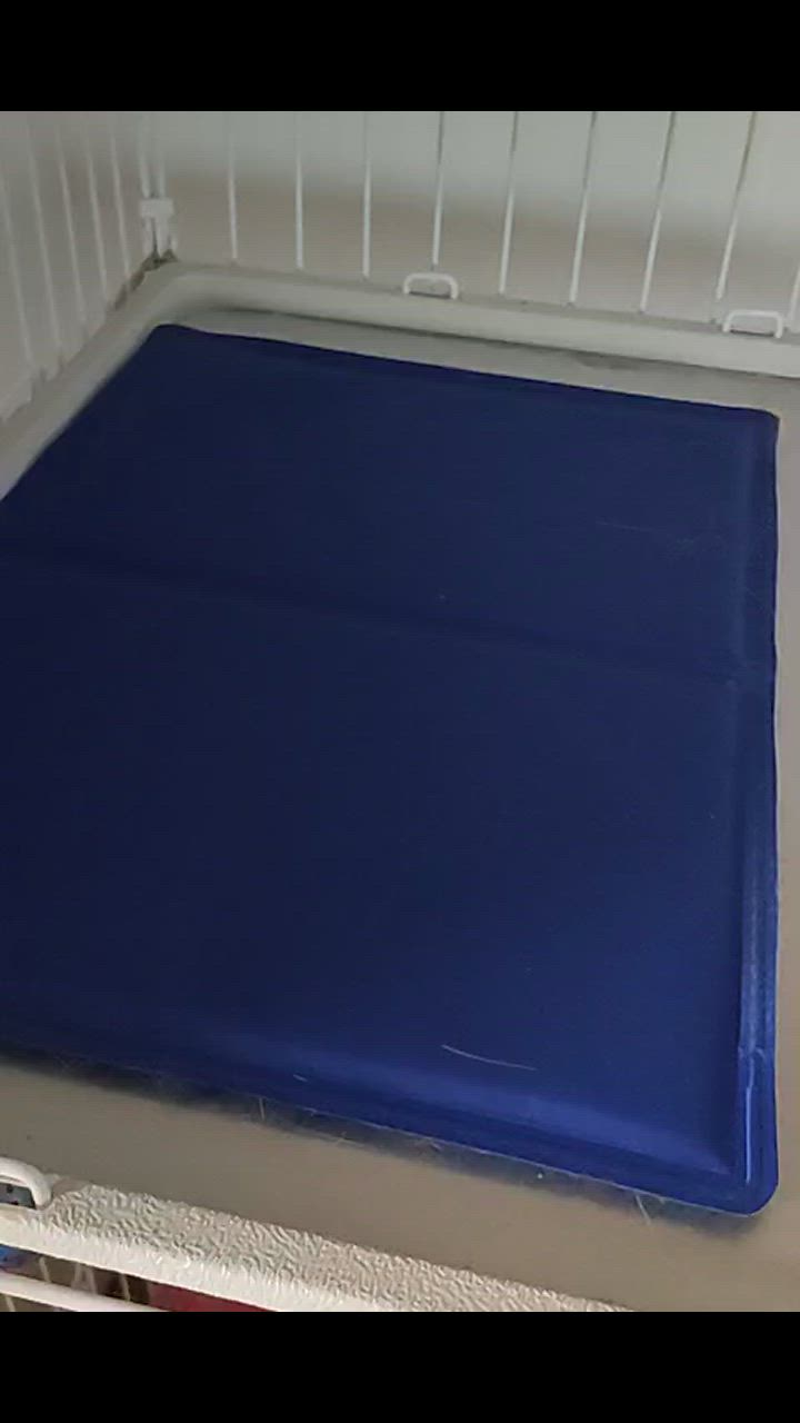 全体のレビュー動画のサムネイル | 0