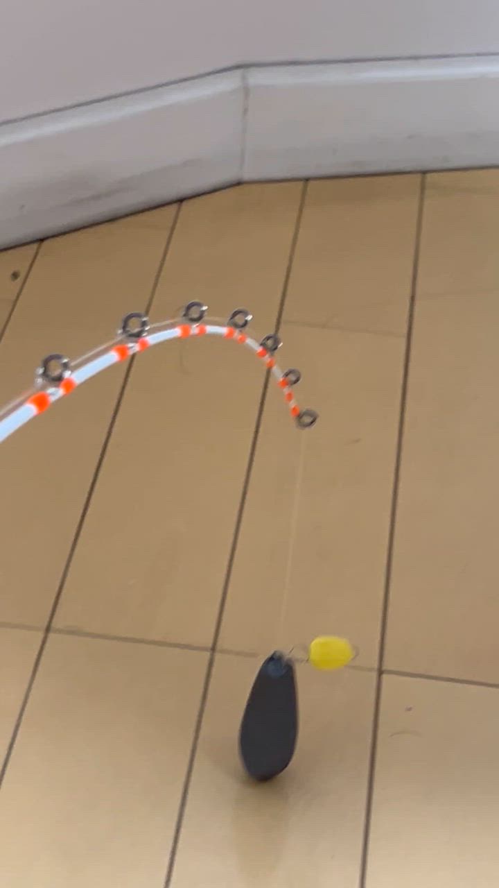 エイテック 海人 エギタコ リミテッド 175 Amazon | アルファタックル(alpha tackle) (Alpha Tackle