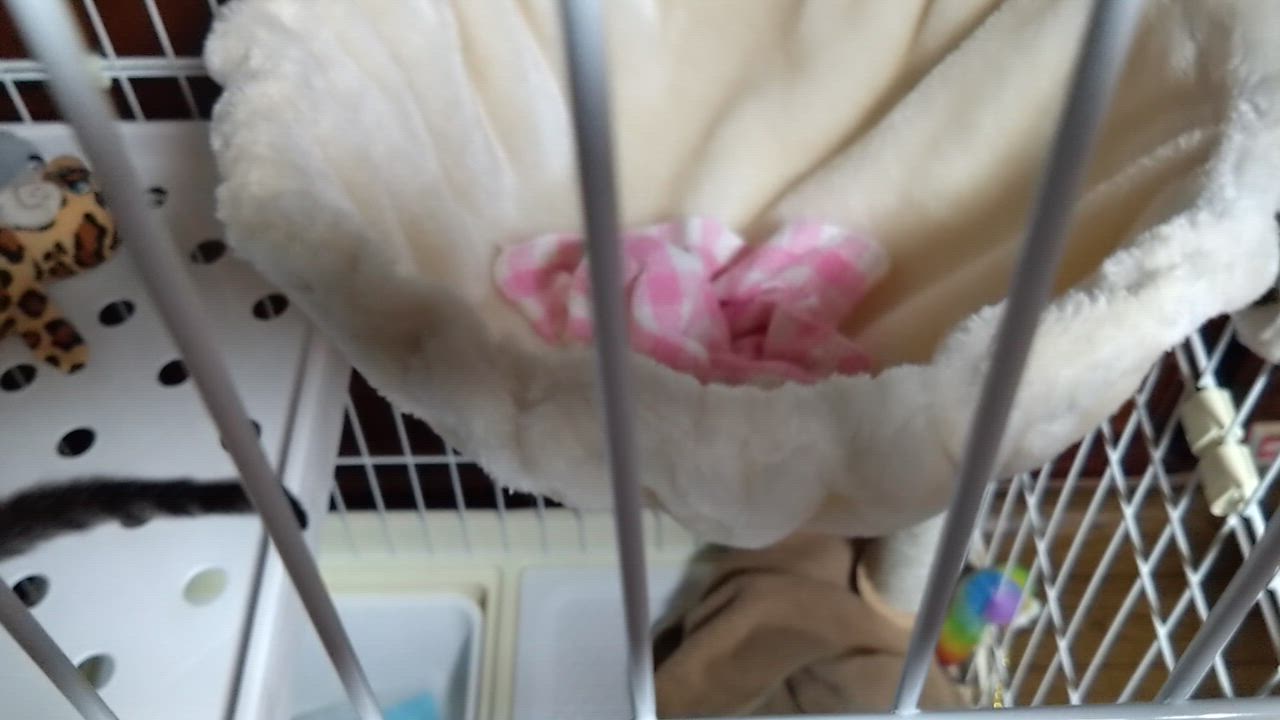 全体のレビュー動画のサムネイル | 0