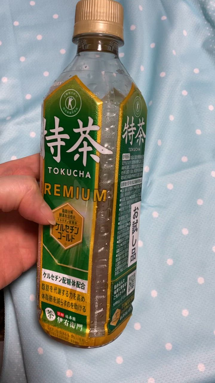 特茶 数量限定 特定保健用食品 サントリー 緑茶 伊右衛門 500ml