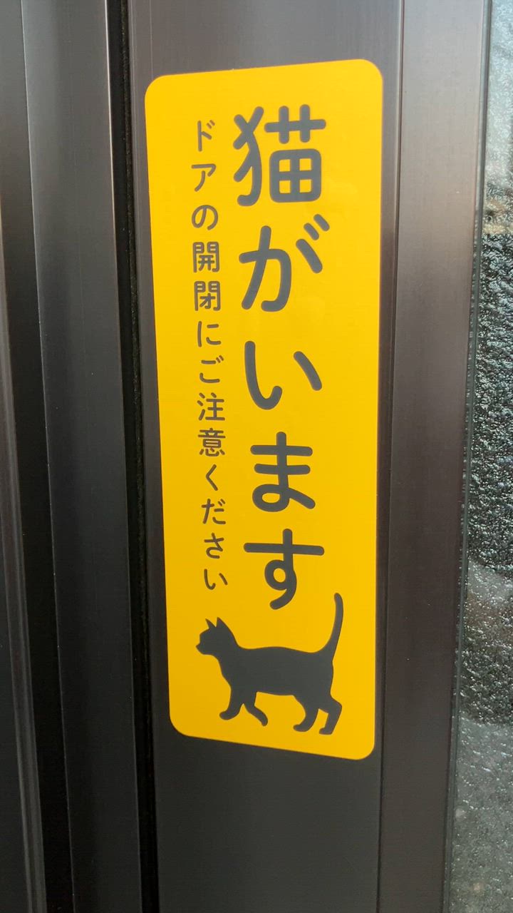 猫さんです！他の方はご購入頂けませんのでご注意下さいませ。 Maru enjoys to his heart's content the Osechi box he fit