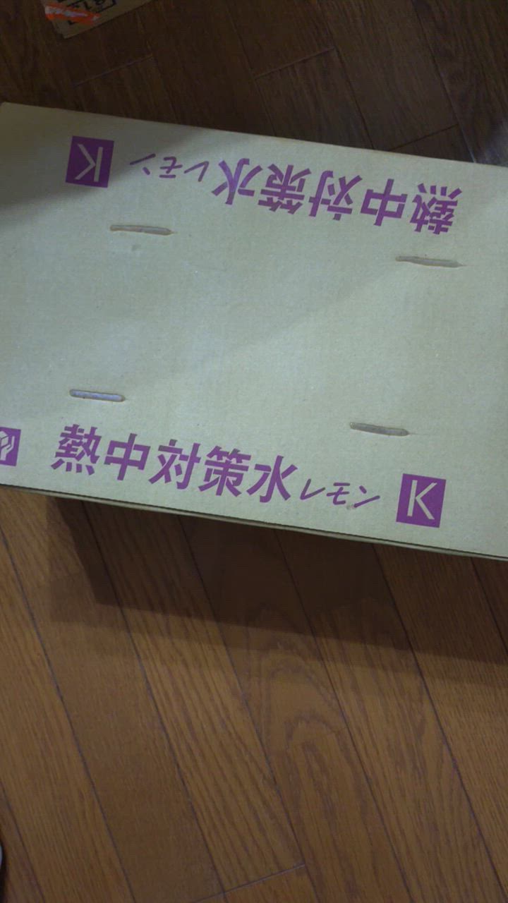 1件目のレビュー動画のサムネイル | 0