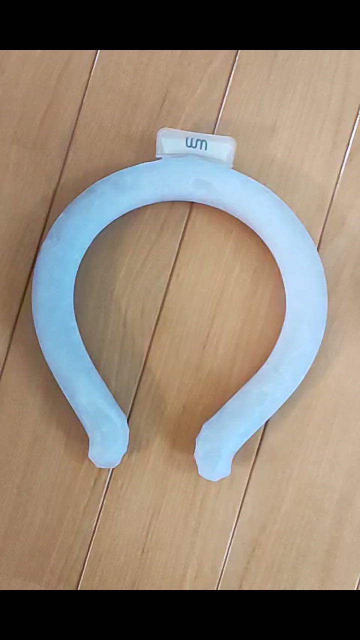 全体のレビュー動画のサムネイル | 6