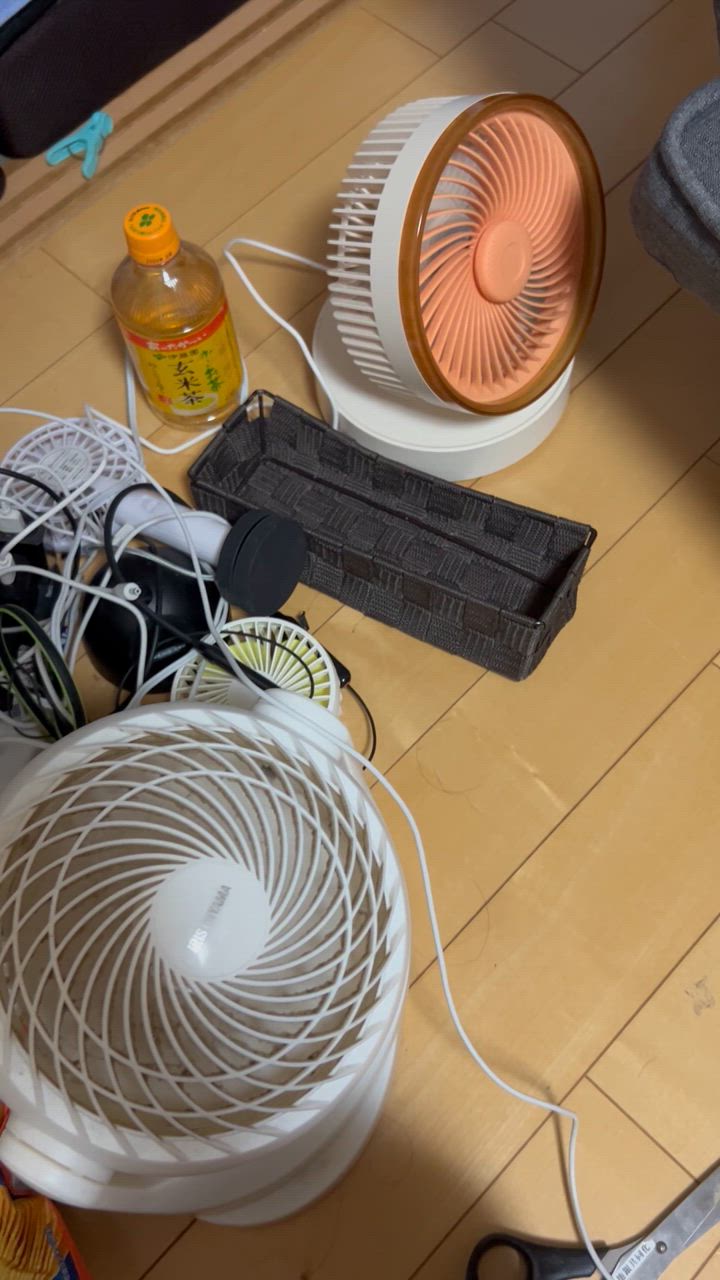 全体のレビュー動画のサムネイル | 1