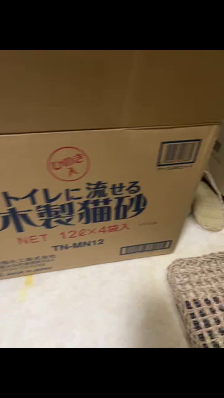全体のレビュー動画のサムネイル | 7