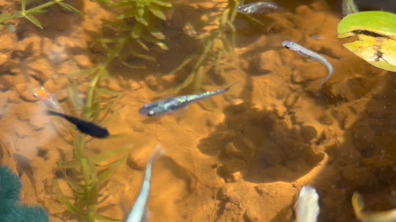 全体のレビュー動画のサムネイル | 19