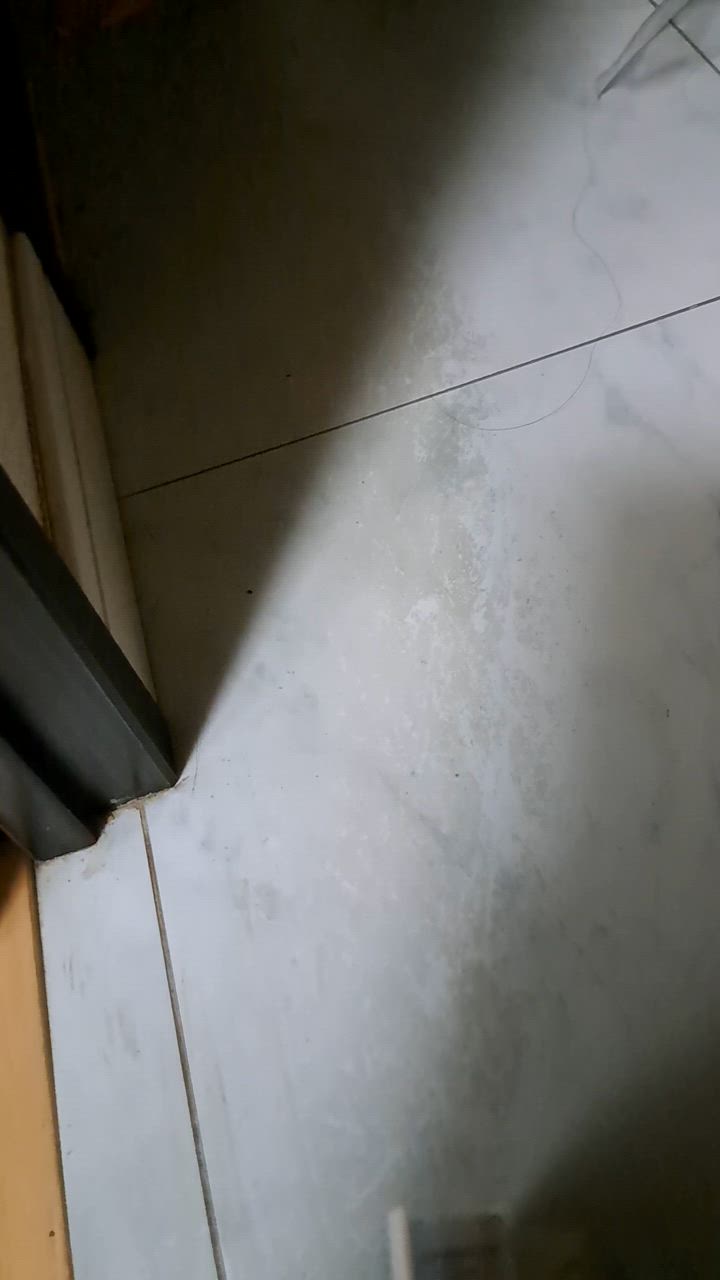 全体のレビュー動画のサムネイル | 1