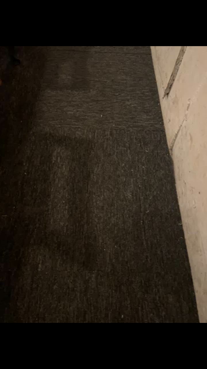 1件目のレビュー動画のサムネイル | 0