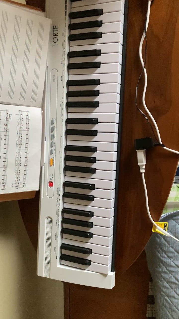 キーボード ピアノ 61鍵盤 超軽量スリム設計 TORTE TSDK-61