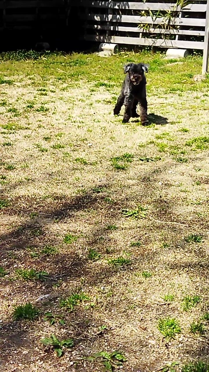1件目のレビュー動画のサムネイル | 0