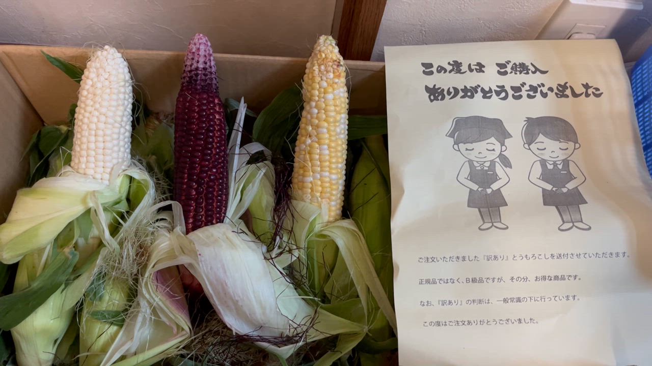 全体のレビュー動画のサムネイル | 2