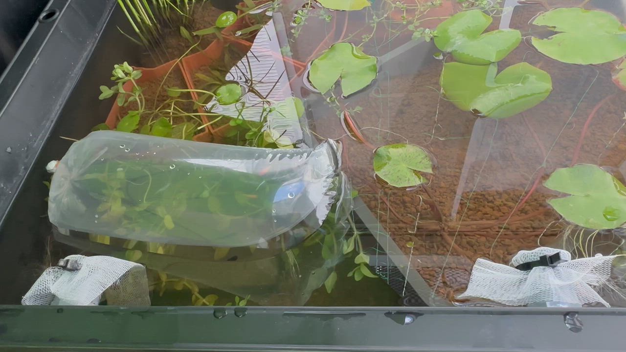 全体のレビュー動画のサムネイル | 18