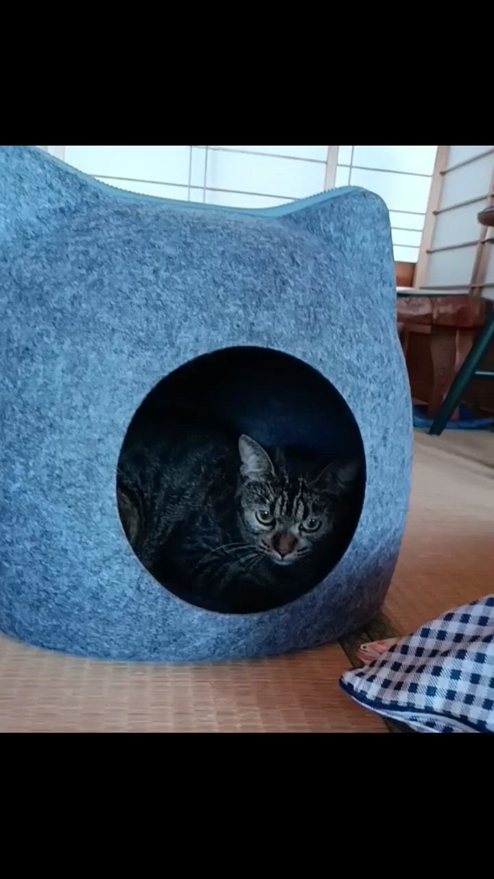 ねこさま限定　ニトリ ニトリ モチモチクッション（ネコ GY SC142） デコホーム