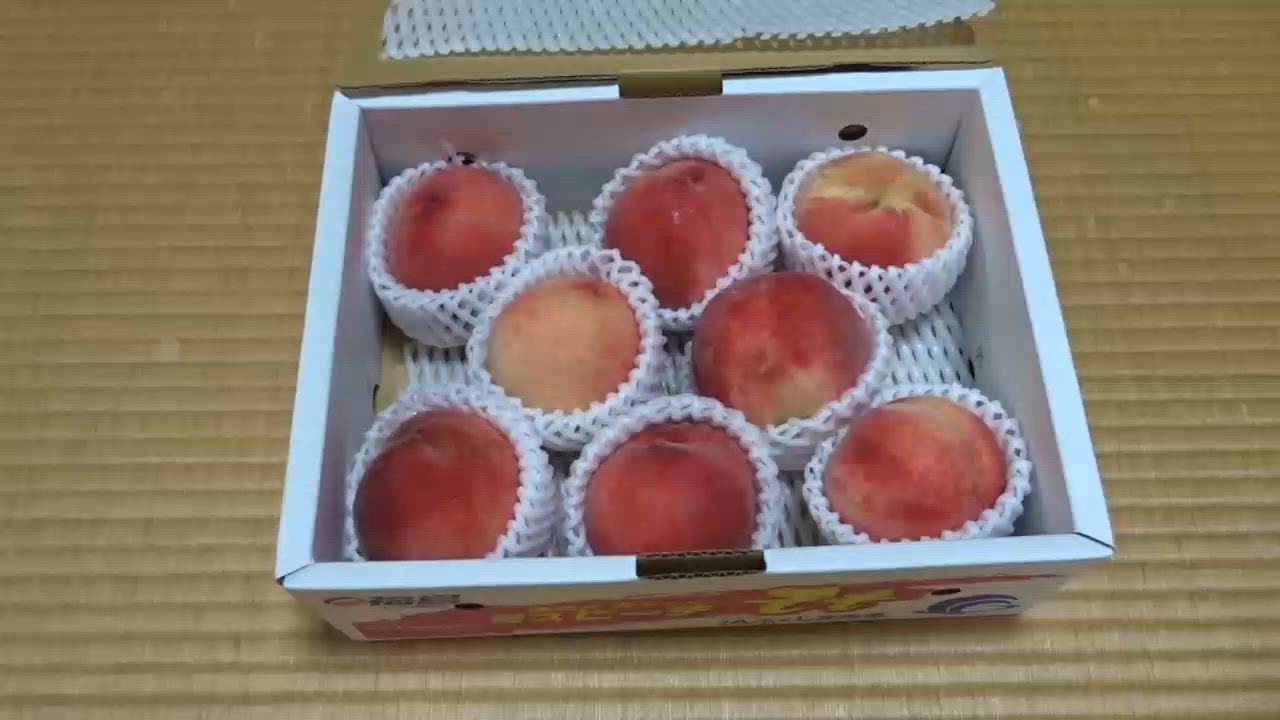 全体のレビュー動画のサムネイル | 5
