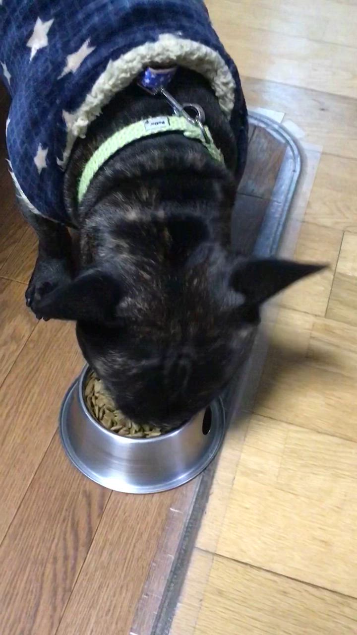 全体のレビュー動画のサムネイル | 3
